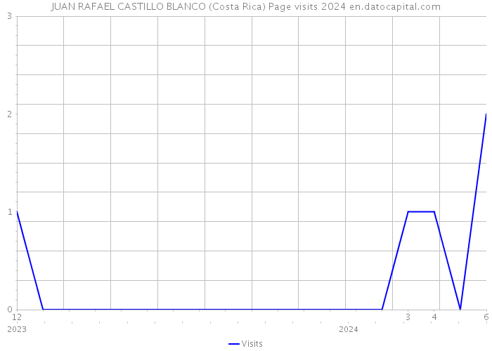 JUAN RAFAEL CASTILLO BLANCO (Costa Rica) Page visits 2024 