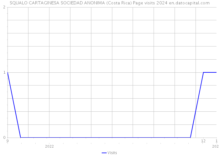 SQUALO CARTAGINESA SOCIEDAD ANONIMA (Costa Rica) Page visits 2024 