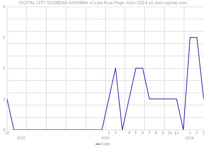 DIGITAL CITY SOCIEDAD ANONIMA (Costa Rica) Page visits 2024 