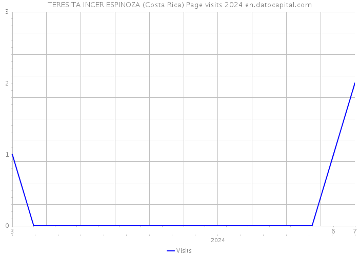 TERESITA INCER ESPINOZA (Costa Rica) Page visits 2024 