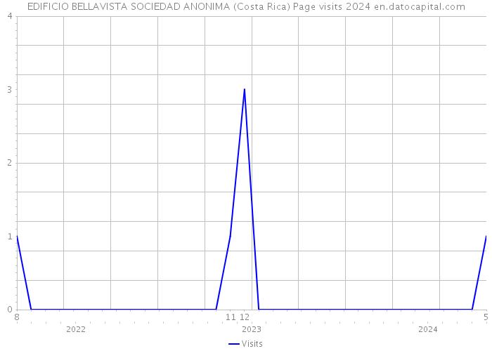 EDIFICIO BELLAVISTA SOCIEDAD ANONIMA (Costa Rica) Page visits 2024 