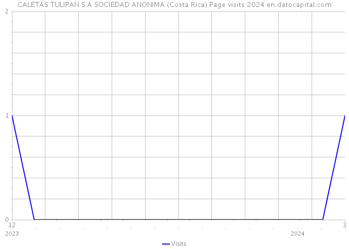 CALETAS TULIPAN S A SOCIEDAD ANONIMA (Costa Rica) Page visits 2024 