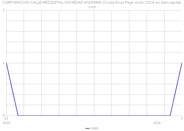 CORPORACION CALLE MEZQUITAL SOCIEDAD ANONIMA (Costa Rica) Page visits 2024 