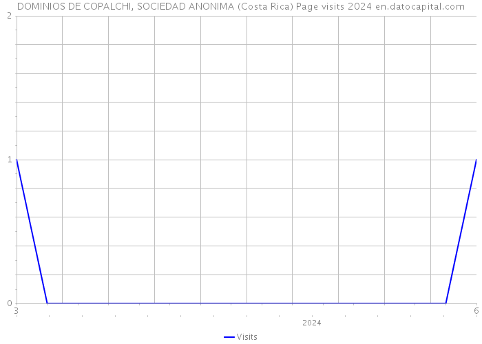 DOMINIOS DE COPALCHI, SOCIEDAD ANONIMA (Costa Rica) Page visits 2024 