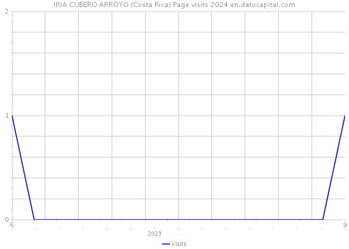 IRIA CUBERO ARROYO (Costa Rica) Page visits 2024 