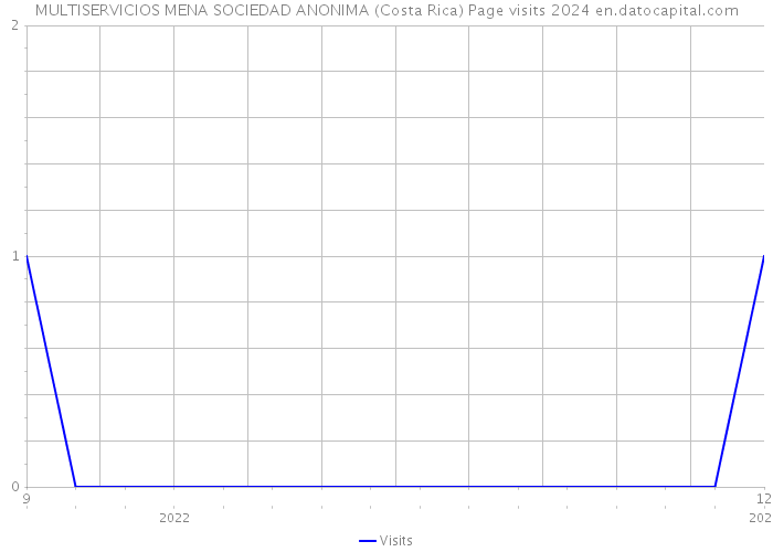 MULTISERVICIOS MENA SOCIEDAD ANONIMA (Costa Rica) Page visits 2024 