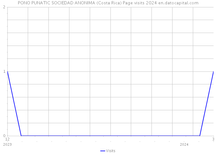 PONO PUNATIC SOCIEDAD ANONIMA (Costa Rica) Page visits 2024 