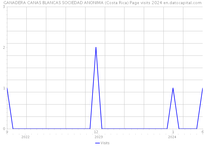 GANADERA CANAS BLANCAS SOCIEDAD ANONIMA (Costa Rica) Page visits 2024 