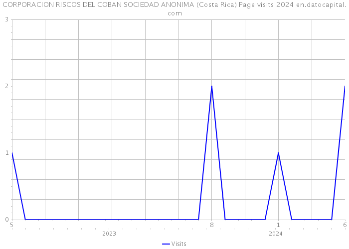 CORPORACION RISCOS DEL COBAN SOCIEDAD ANONIMA (Costa Rica) Page visits 2024 
