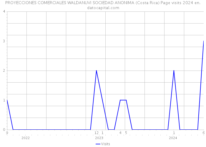 PROYECCIONES COMERCIALES WALDANUVI SOCIEDAD ANONIMA (Costa Rica) Page visits 2024 