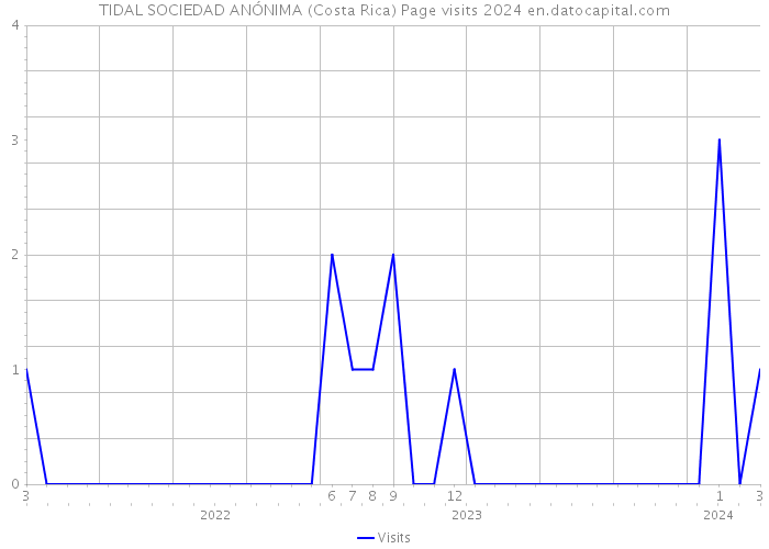 TIDAL SOCIEDAD ANÓNIMA (Costa Rica) Page visits 2024 