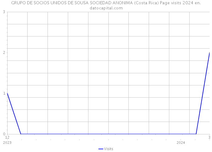 GRUPO DE SOCIOS UNIDOS DE SOUSA SOCIEDAD ANONIMA (Costa Rica) Page visits 2024 