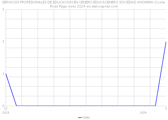 SERVICIOS PROFESIONALES DE EDUCACION EN GENERO EDUCAGENERO SOCIEDAD ANONIMA (Costa Rica) Page visits 2024 