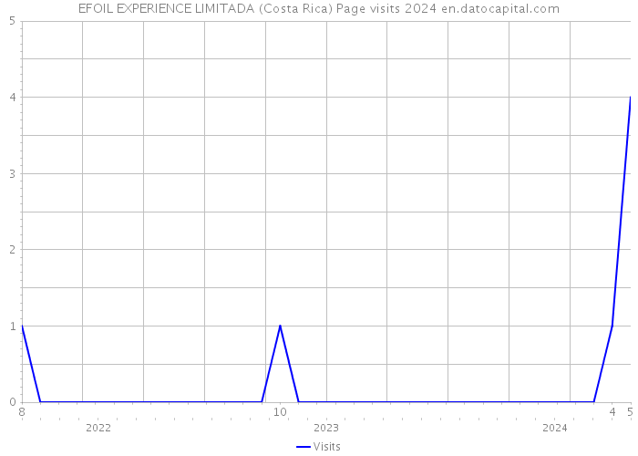 EFOIL EXPERIENCE LIMITADA (Costa Rica) Page visits 2024 
