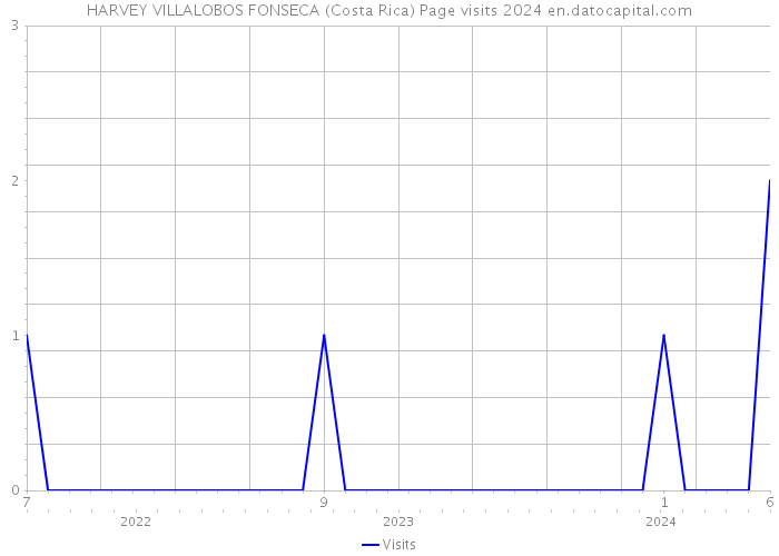 HARVEY VILLALOBOS FONSECA (Costa Rica) Page visits 2024 