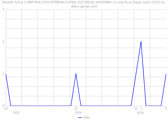 PALMA SOLA CORPORACION INTERNACIONAL SOCIEDAD ANONIMA (Costa Rica) Page visits 2024 