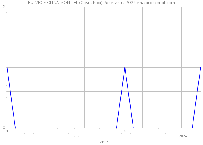 FULVIO MOLINA MONTIEL (Costa Rica) Page visits 2024 