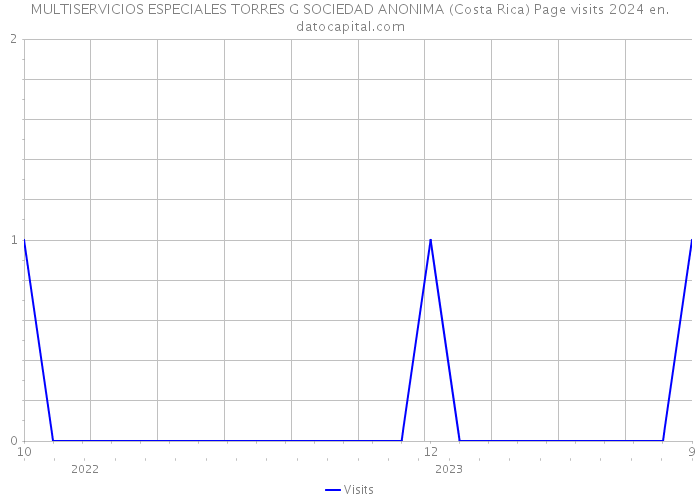 MULTISERVICIOS ESPECIALES TORRES G SOCIEDAD ANONIMA (Costa Rica) Page visits 2024 