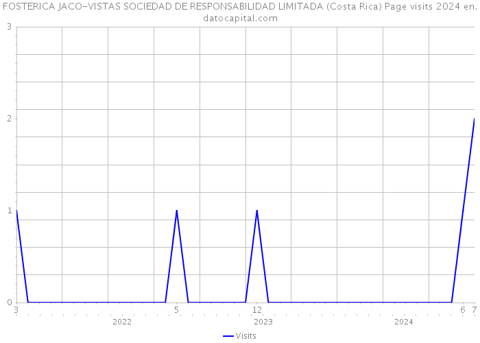 FOSTERICA JACO-VISTAS SOCIEDAD DE RESPONSABILIDAD LIMITADA (Costa Rica) Page visits 2024 