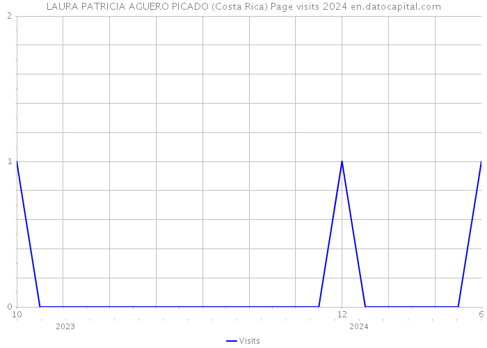 LAURA PATRICIA AGUERO PICADO (Costa Rica) Page visits 2024 