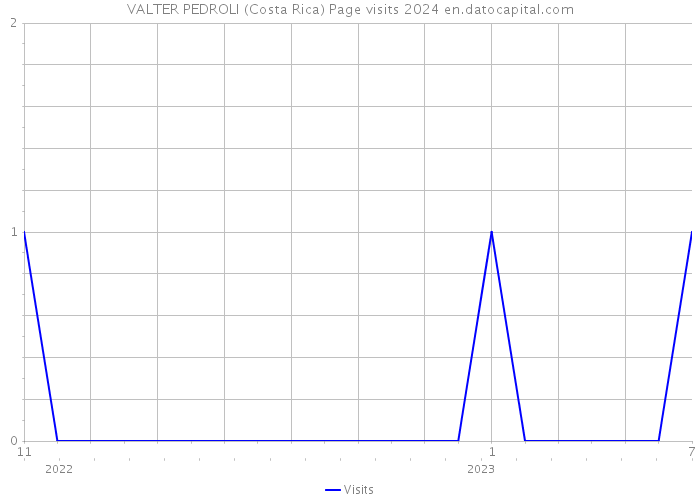 VALTER PEDROLI (Costa Rica) Page visits 2024 