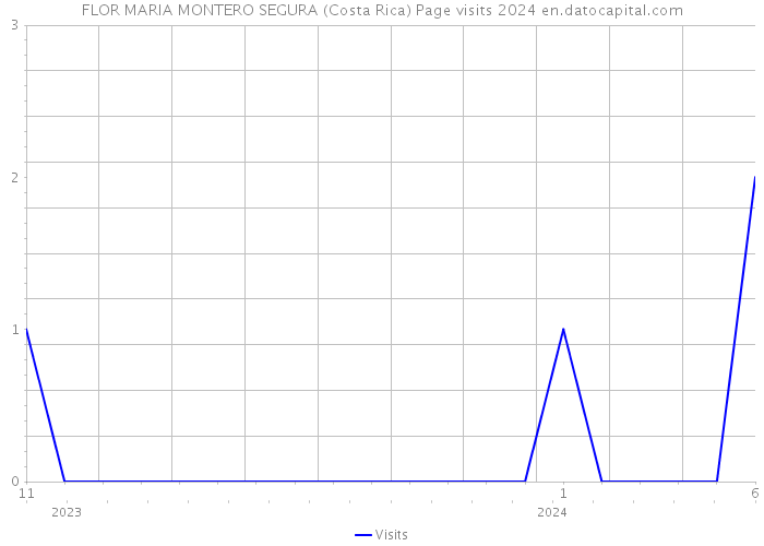 FLOR MARIA MONTERO SEGURA (Costa Rica) Page visits 2024 