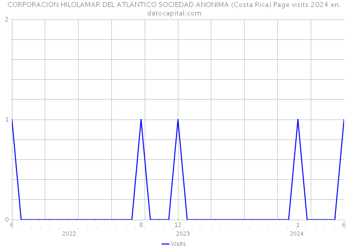 CORPORACION HILOLAMAR DEL ATLANTICO SOCIEDAD ANONIMA (Costa Rica) Page visits 2024 