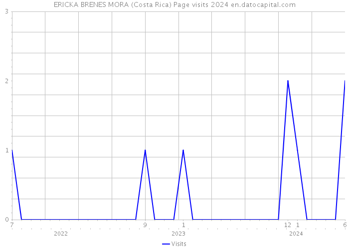 ERICKA BRENES MORA (Costa Rica) Page visits 2024 