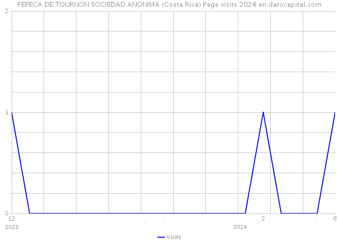 FEPECA DE TOURNON SOCIEDAD ANONIMA (Costa Rica) Page visits 2024 
