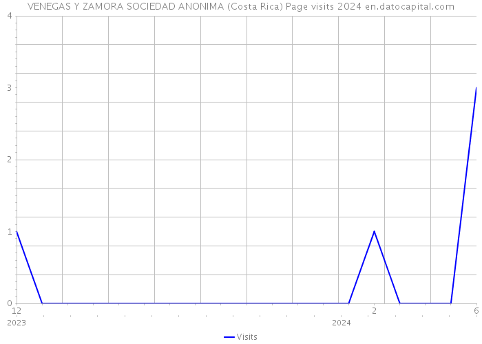 VENEGAS Y ZAMORA SOCIEDAD ANONIMA (Costa Rica) Page visits 2024 