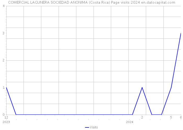 COMERCIAL LAGUNERA SOCIEDAD ANONIMA (Costa Rica) Page visits 2024 