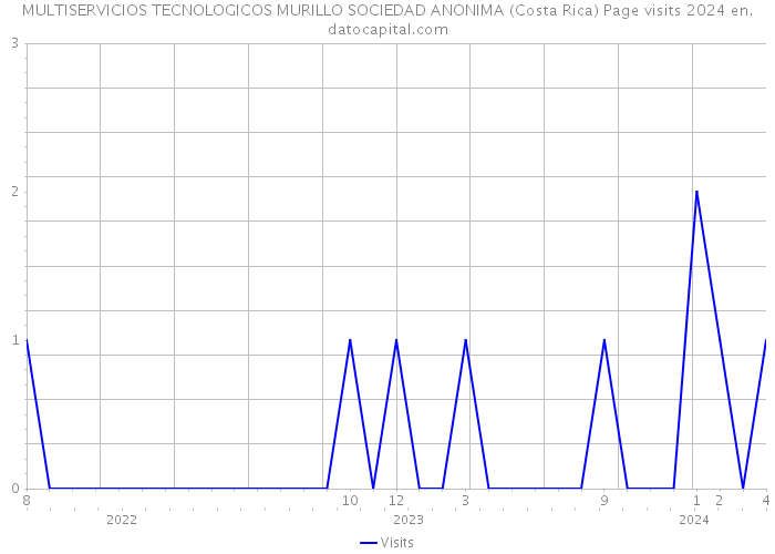 MULTISERVICIOS TECNOLOGICOS MURILLO SOCIEDAD ANONIMA (Costa Rica) Page visits 2024 