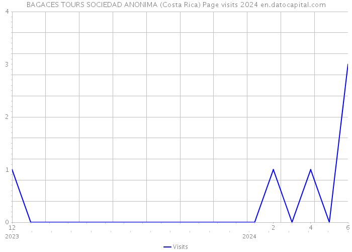 BAGACES TOURS SOCIEDAD ANONIMA (Costa Rica) Page visits 2024 