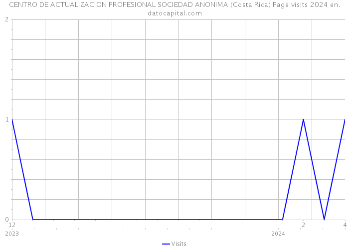 CENTRO DE ACTUALIZACION PROFESIONAL SOCIEDAD ANONIMA (Costa Rica) Page visits 2024 