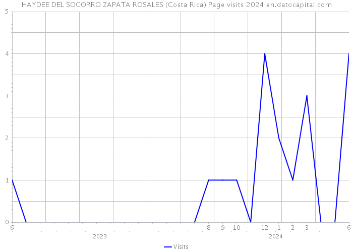 HAYDEE DEL SOCORRO ZAPATA ROSALES (Costa Rica) Page visits 2024 