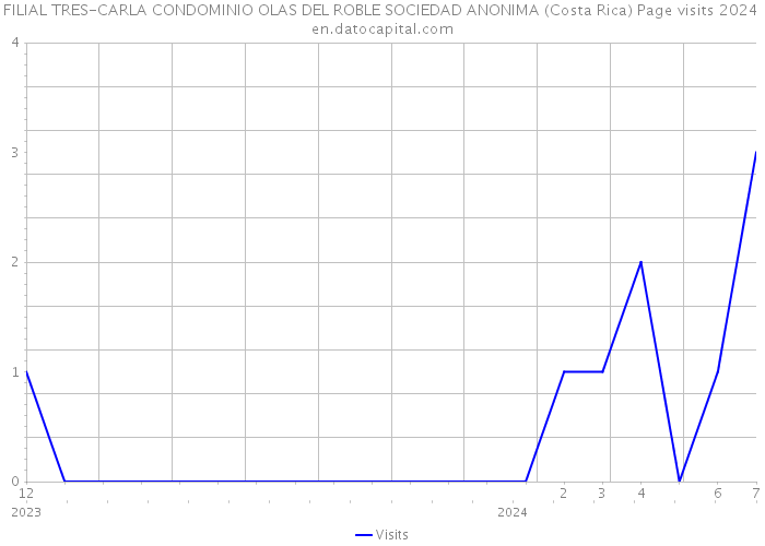 FILIAL TRES-CARLA CONDOMINIO OLAS DEL ROBLE SOCIEDAD ANONIMA (Costa Rica) Page visits 2024 