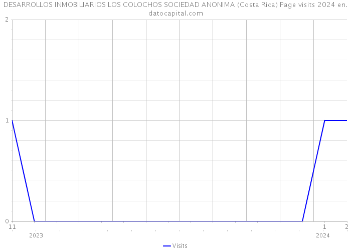 DESARROLLOS INMOBILIARIOS LOS COLOCHOS SOCIEDAD ANONIMA (Costa Rica) Page visits 2024 