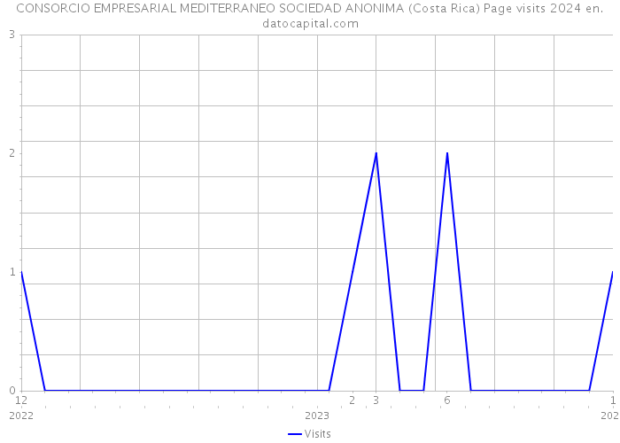 CONSORCIO EMPRESARIAL MEDITERRANEO SOCIEDAD ANONIMA (Costa Rica) Page visits 2024 