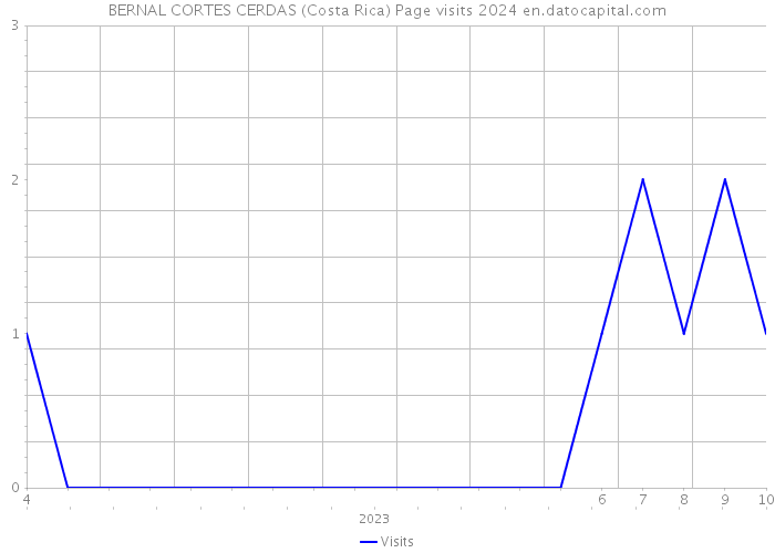 BERNAL CORTES CERDAS (Costa Rica) Page visits 2024 