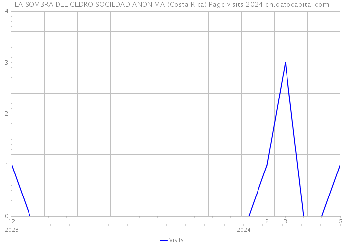 LA SOMBRA DEL CEDRO SOCIEDAD ANONIMA (Costa Rica) Page visits 2024 
