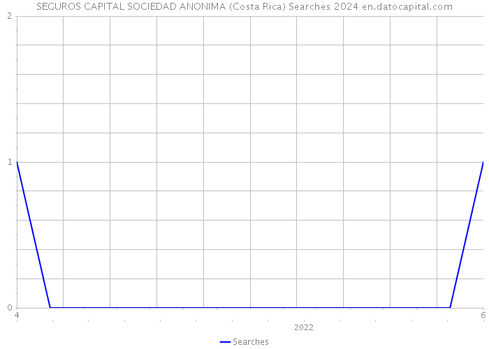 SEGUROS CAPITAL SOCIEDAD ANONIMA (Costa Rica) Searches 2024 