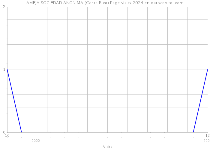 AMEJA SOCIEDAD ANONIMA (Costa Rica) Page visits 2024 
