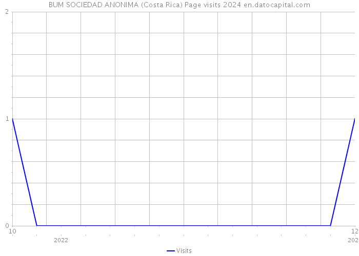 BUM SOCIEDAD ANONIMA (Costa Rica) Page visits 2024 