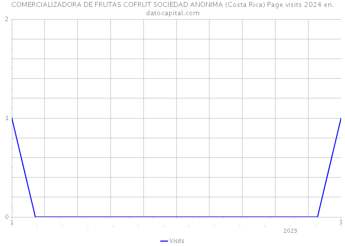 COMERCIALIZADORA DE FRUTAS COFRUT SOCIEDAD ANONIMA (Costa Rica) Page visits 2024 