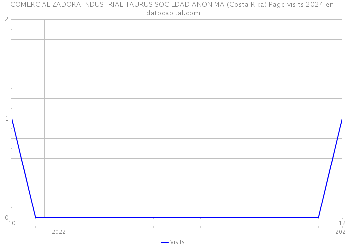 COMERCIALIZADORA INDUSTRIAL TAURUS SOCIEDAD ANONIMA (Costa Rica) Page visits 2024 