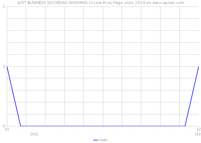 JUST BUSINESS SOCIEDAD ANONIMA (Costa Rica) Page visits 2024 