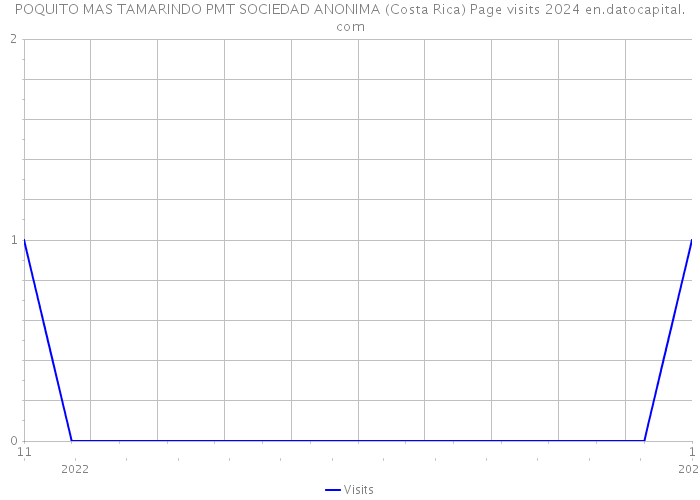 POQUITO MAS TAMARINDO PMT SOCIEDAD ANONIMA (Costa Rica) Page visits 2024 