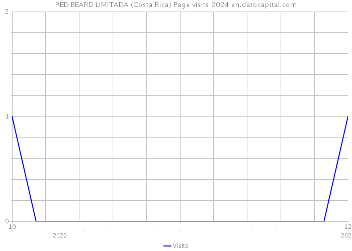 RED BEARD LIMITADA (Costa Rica) Page visits 2024 