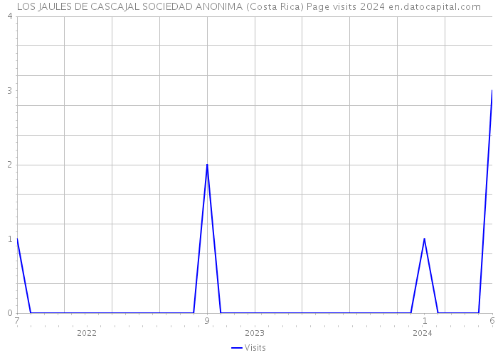 LOS JAULES DE CASCAJAL SOCIEDAD ANONIMA (Costa Rica) Page visits 2024 
