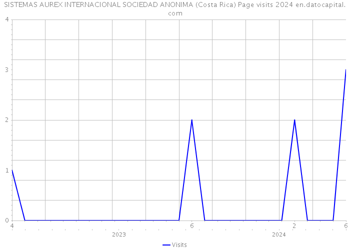 SISTEMAS AUREX INTERNACIONAL SOCIEDAD ANONIMA (Costa Rica) Page visits 2024 